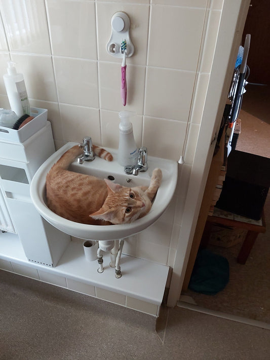 Minor Hiccups - or Tigger Strikes Again - StonegroveSoapandCrafts